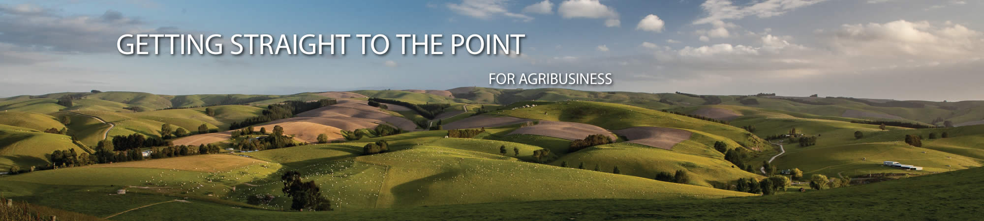 Getting straight for agribusiness